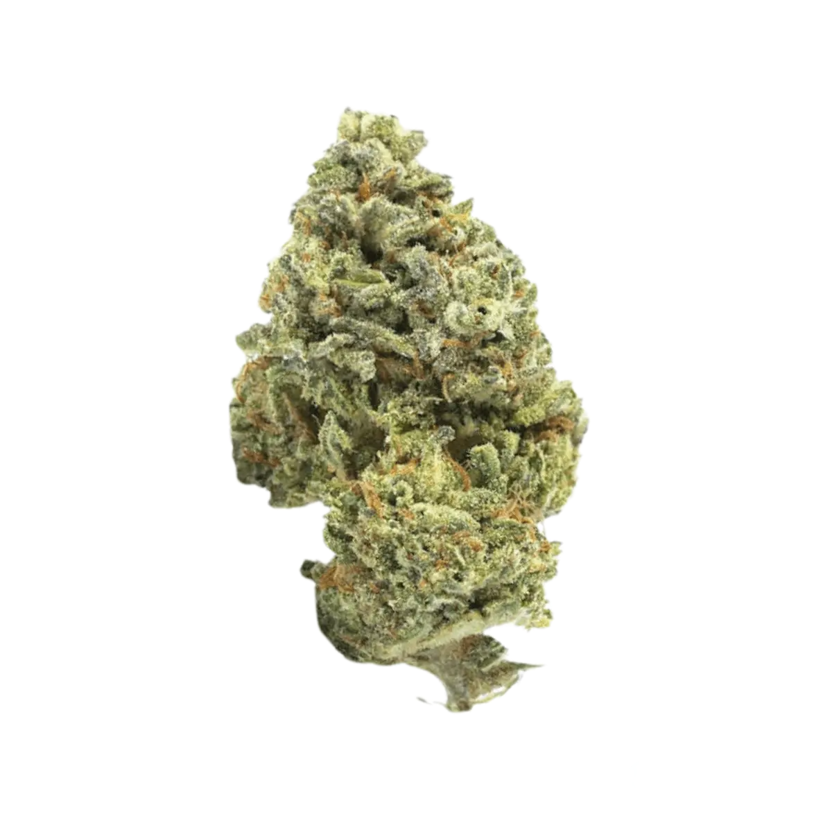 Canify Cannabis flos 22/1 UY Ku. Big Buddha